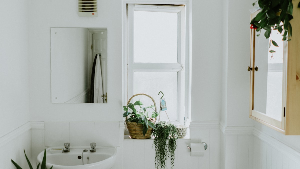 Best Bathroom Mirrors with LED Lighting