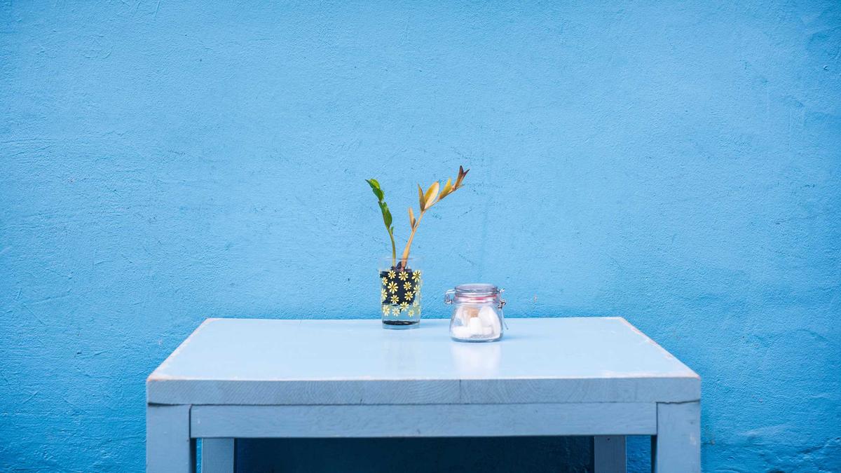 Morning Wellness Rituals That Actually Work (Backed by Evidence)