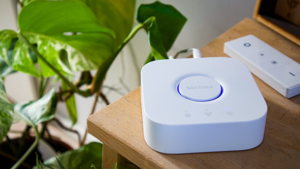 Smart Bulbs vs Smart Switches: Which to Choose